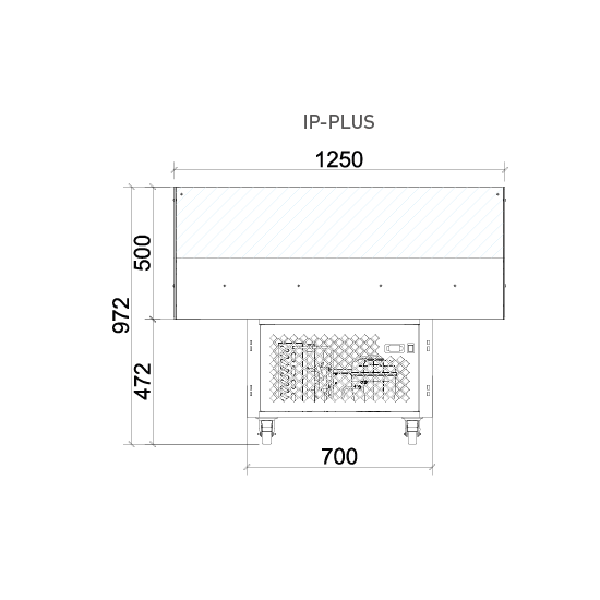 IP-PLUS