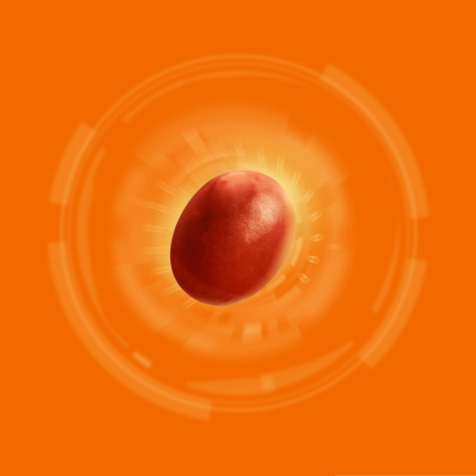 O futuro, estamos plantando hoje!