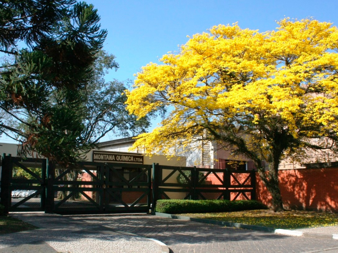 Fachada da unidade fabril da Montana Química com um Ipê-amarelo florido em destaque à frente do portão de entrada.