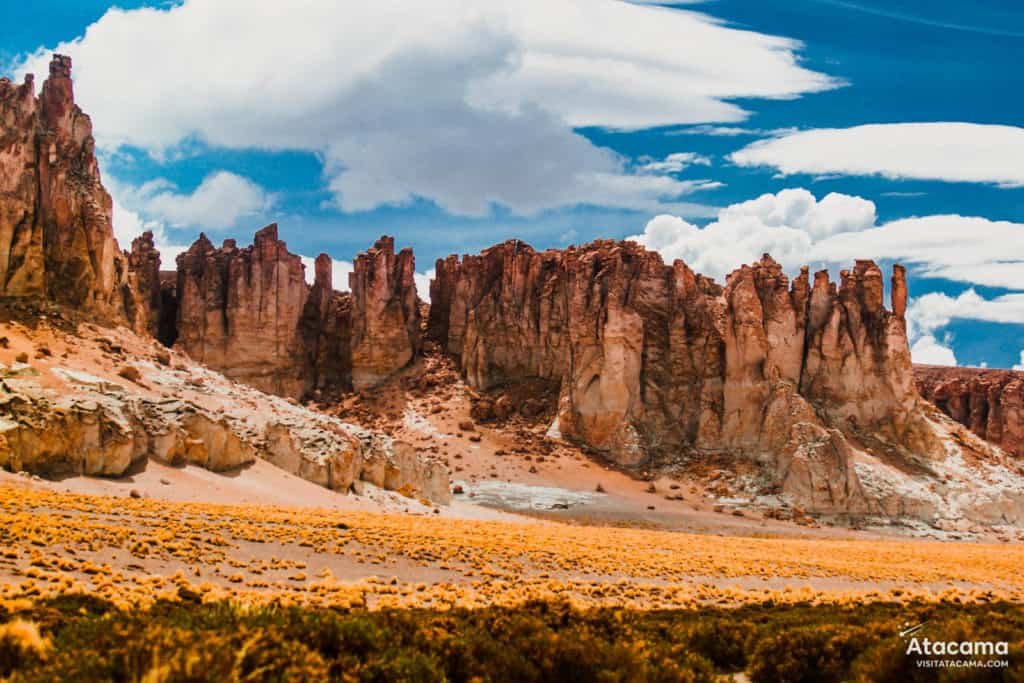 Atacama - Ruta dos Salares