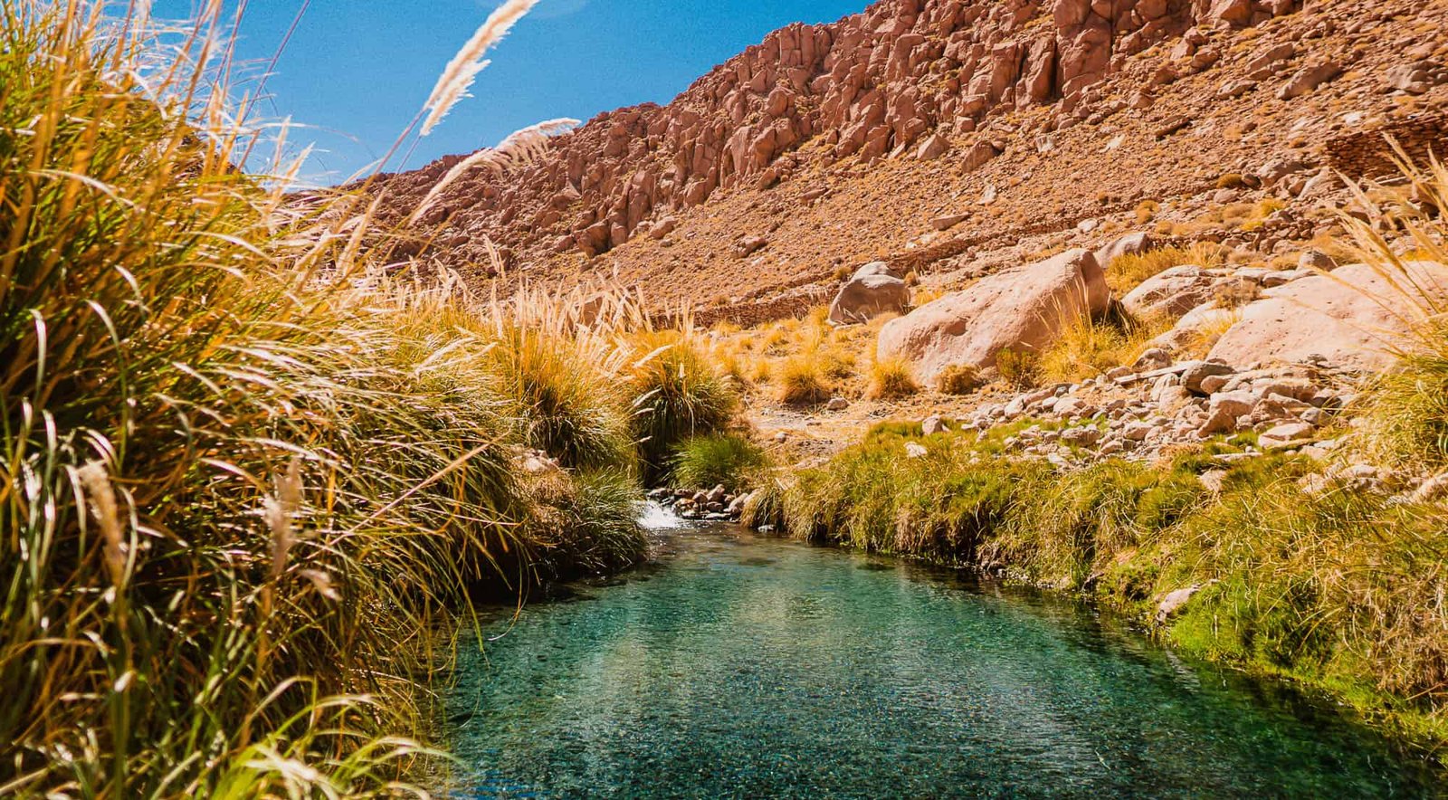 Atacama - Termas de Puritama